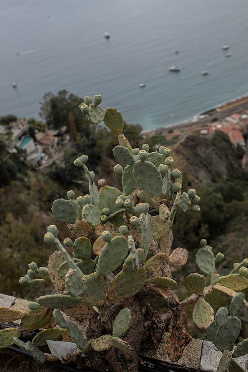 Destination Elopement in Taormina