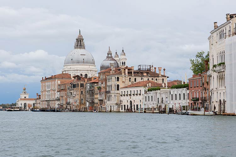 View of Santa Maria della Salute and Venetian palaces from the Grand Canal