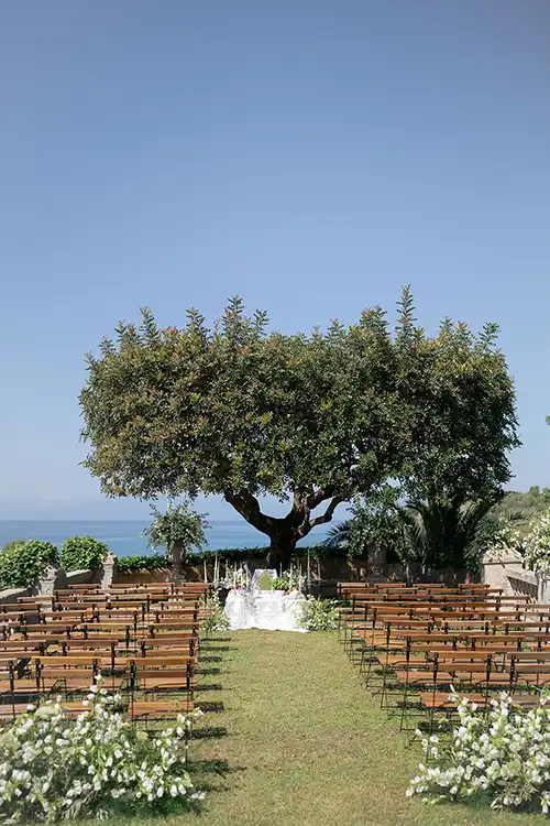 Wedding ceremony setting beneath the iconic pine tree at Villa Paola